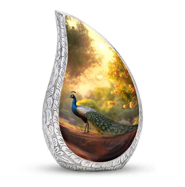 Peacock Taking In Morning Due Decorative Memorial Urns Pack Of 1 (3 Inch)