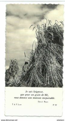che per un chicco di grano dai un raccolto inesauribile Santino Lo so Signore 