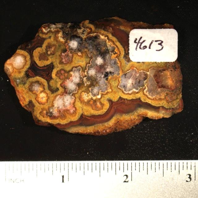 Turkish Stick Agate Lapidary Rock Slab #4613