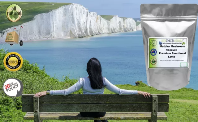 Mushroom Matcha Organic Powder Premium Latte Reishi Cacao Macca Matcha Green Tea 2