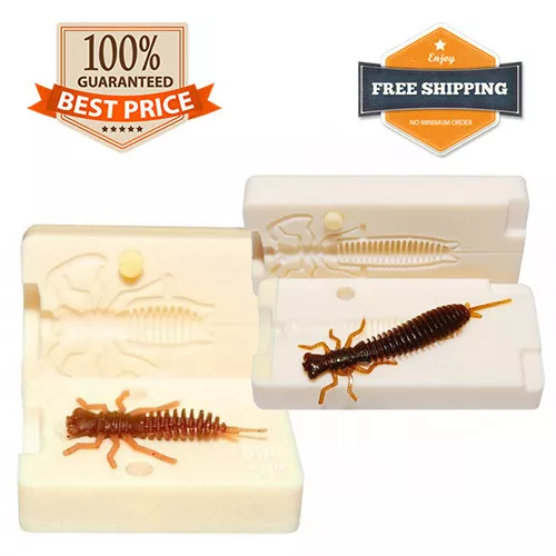 BAIT MOLD BUG Fishing Mayfly Soft Plastic Lure 35 - 100 mm 7 variations  $24.99 - PicClick