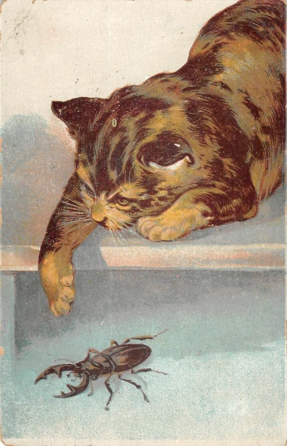 Carte Postale Ancienne . Fantaisie illustrateur . Chats humanisés . 1914 - Collection