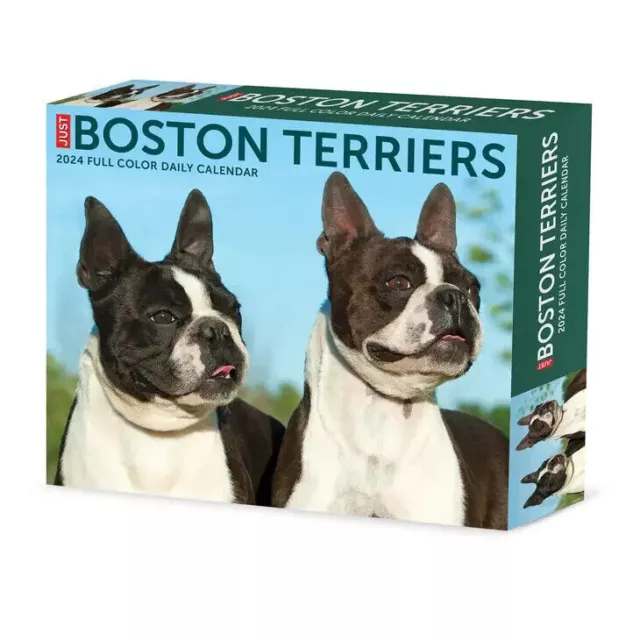Willow Creek Boston Terriers 2024 6.2" x 5.4" Box Calendar w