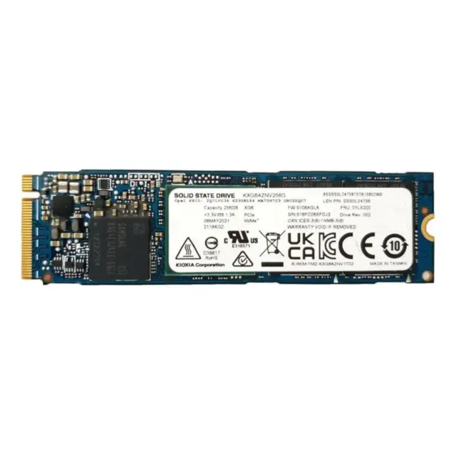 SSD Per PC Computer Fissi Portatili 250GB M.2 PCIe NVMe 2280 (Ricondizionato)