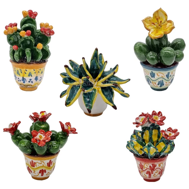 Pianta Grassa In Ceramica Di Caltagirone Vari Tipi