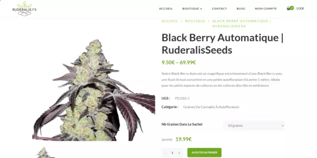 Black Berry x3 Graines de collection by Ruderalis.fr Autof Seed