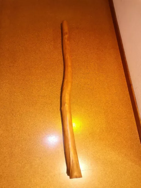 Didgeridoo 2
