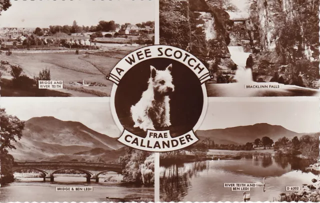 Scotty Dog Multiview, CALLANDER, Perthshire RP