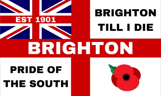 Brighton & Hove Albion Football Club Flag - 5ft X 3ft - Seagulls Banner
