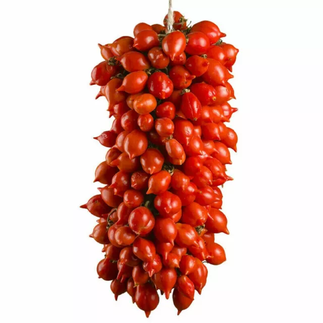 PIENNOLO DEL VESUVIO Tomate 50 Samen Solanum lycopersicum + GRATIS
