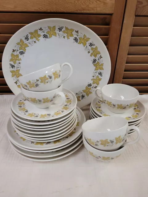Vintage Syracuse China VINTAGE Grapes & Leaves Carefree Dinnerware Set Vintage Syracuse China VINTAGE Grapes & Leaves Carefree Dinnerware Set