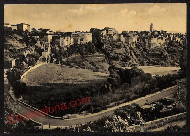 ag2513 - CARTOLINA D'EPOCA - Grosseto Provincia - Pitigliano  1953