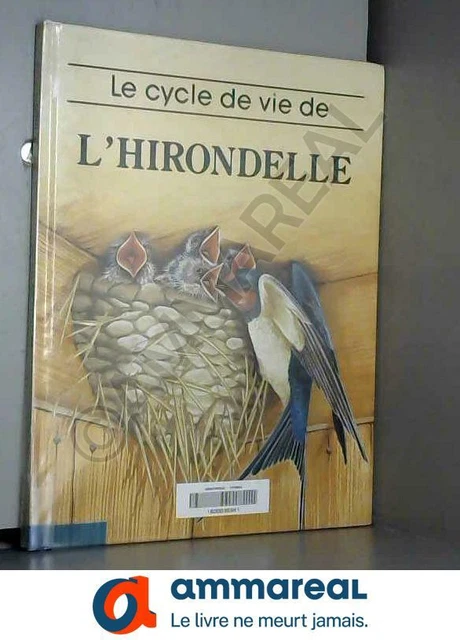 le-cycle-de-vie-de-l-hirondelle-eur-7-24-picclick-fr