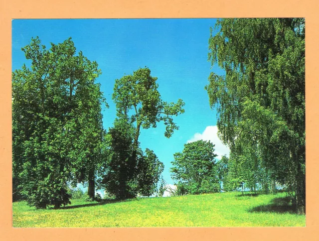 Aeroflot Airlines unused postcard - Moscow Environs - from early 1990s