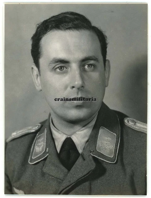 Orig. Foto Portrait Bf 109 Pilot 1.(F)/124 in KIRKENES Norwegen 1943 D^K Orden