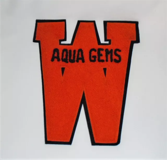 Vintage Letterman Letter Patch Chenille Letter W Aqua Gems Varsity 8 1/2"