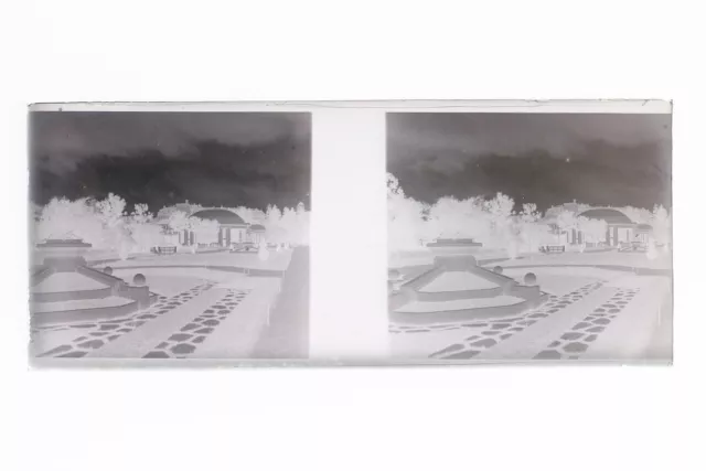 France Jardin Photo Stereo Th3L1n7 Plaque de verre Vintage NEGATIF