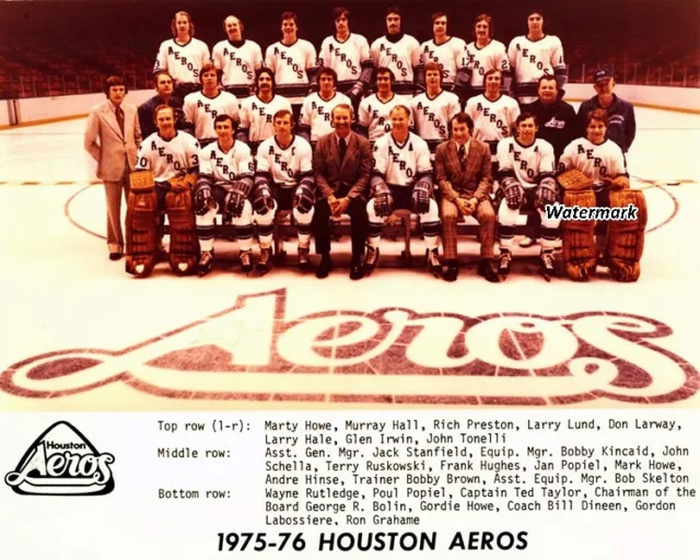 WHA 1975 - 76 Houston Aeros Team Picture Color Gordie Howe 8 X 10 Photo Picture