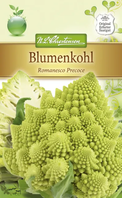Blumenkohl 'Romanesco Precoce' - Brassica oleracea, Kohl Samen 4009
