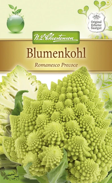Blumenkohl 'Romanesco Precoce' - Brassica oleracea, Kohl Samen 4009