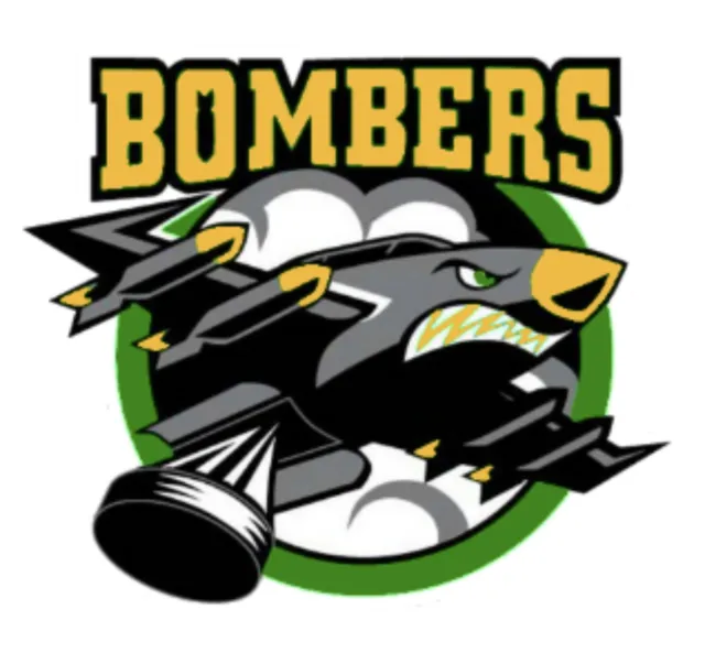 Iron on Transfer - (G1) AFL Essendon Bombers