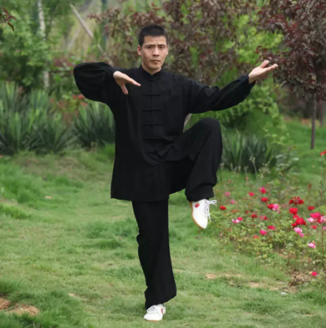 Tai Chi Uniform Kung Fu Suit Martial Arts Wing Chun Clothes Soft Uinsex