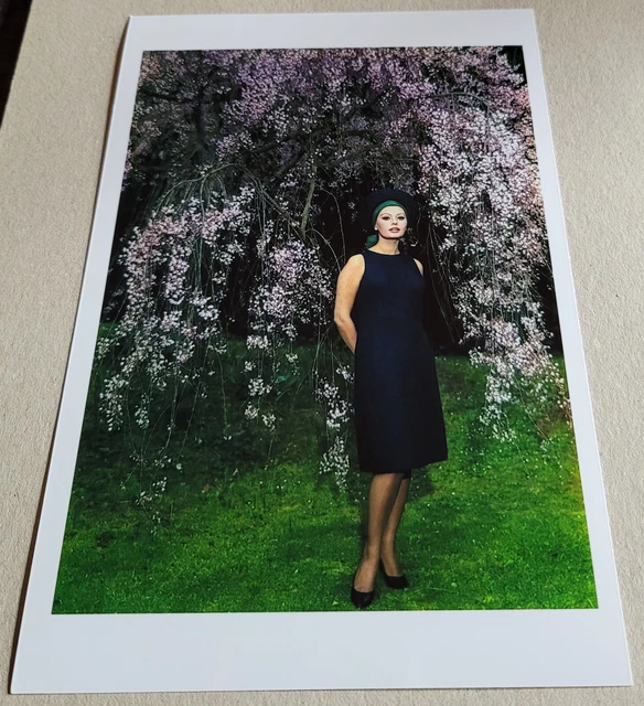 SCHAUSPIELERIN SOPHIA LOREN FilmStarFoto im Format ca. 13 x 18 cm