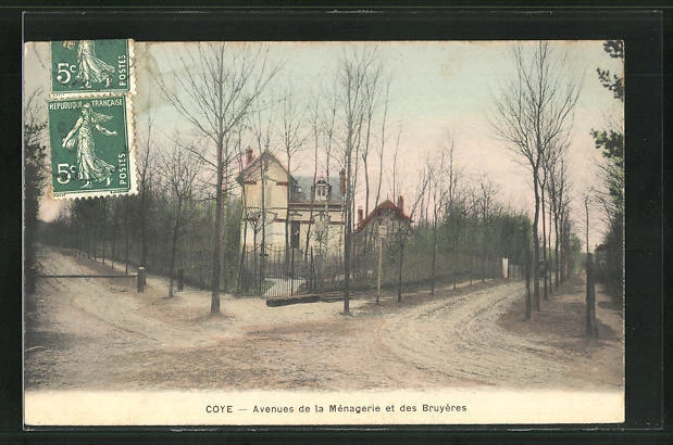 CPA Coye, Avenues de la Ménagerie et des Bruyères