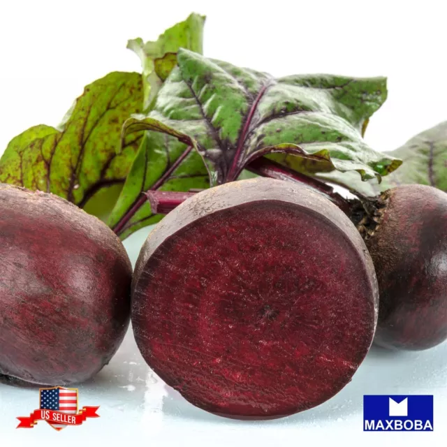 Beet Seeds - Ruby Queen Non-GMO, Heirloom Garden Vegetable / Fresh