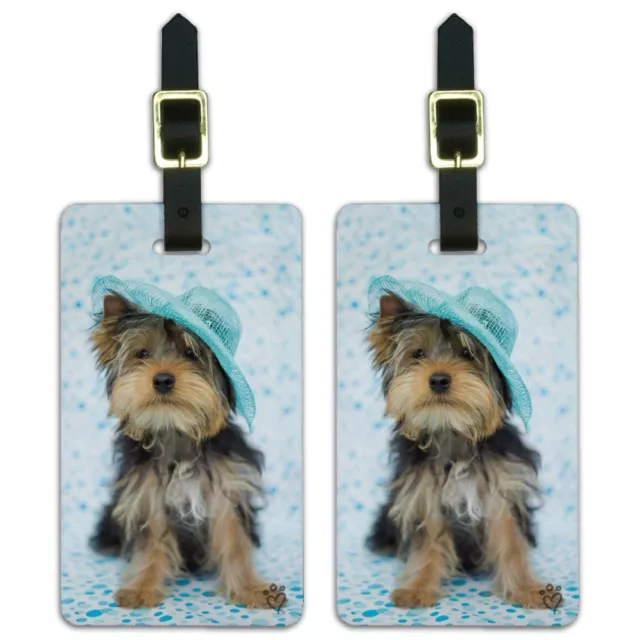 Yorkie Yorkshire Terrier Dog Blue Hat Luggage ID Tags Carry-On Cards - Set of 2