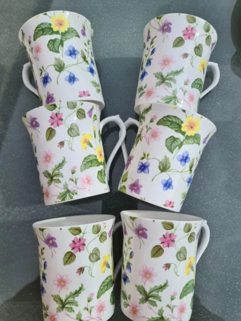 Queens English Fine Bone China Country Meadow Mugs (6)