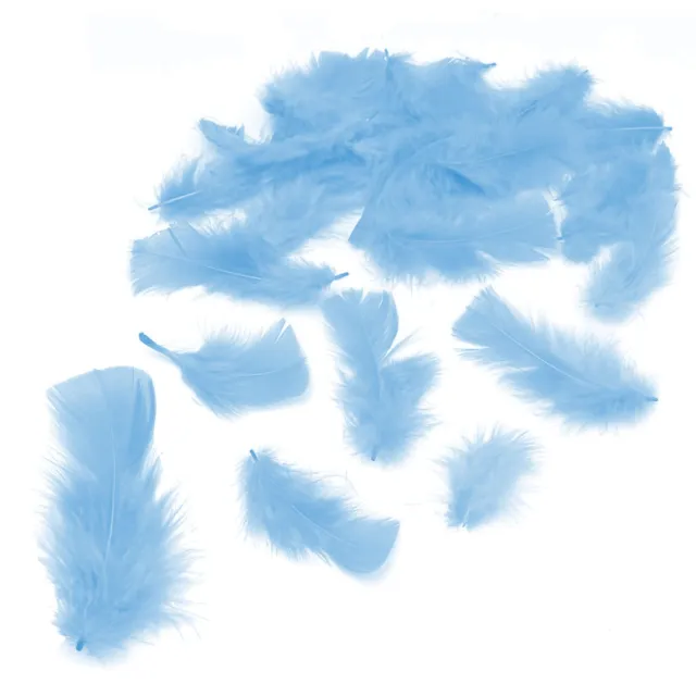 2 Pack Light Blue Feathers Easter Decorative Kids Arts & Craft Create Decoration