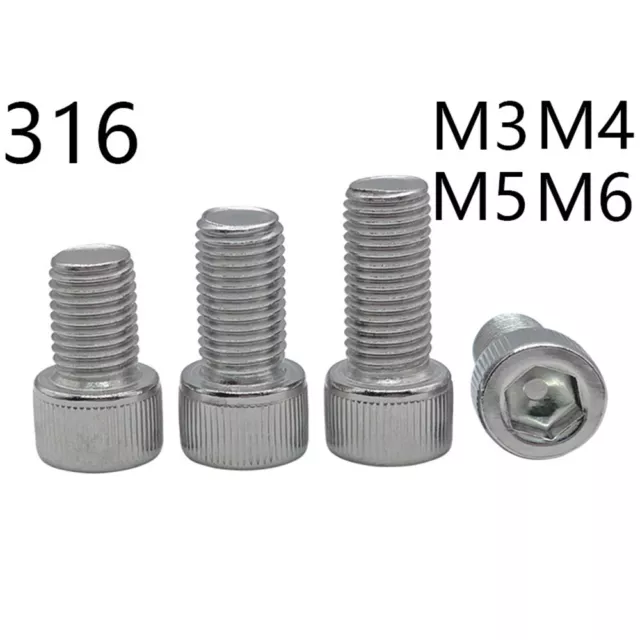 316 bulloni testa tappo in acciaio inox DIN912 viti a presa esagonale M3 M4 M5 M6
