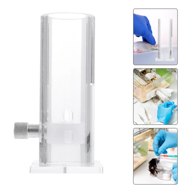 1 Pc Souris Fixation Outil Rapide Tube de Prélèvement Sanguin Rat Fixateur