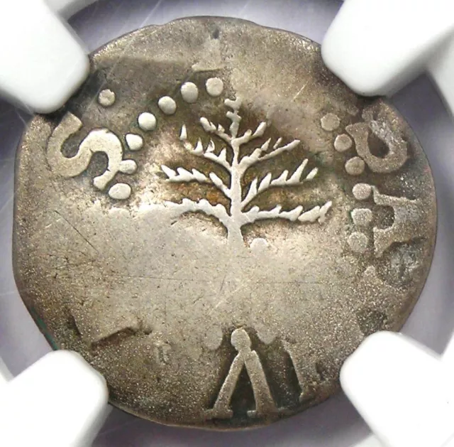 1652 Massachusetts Pine Tree Silver Threepence 3P - Certified NGC Fine Details