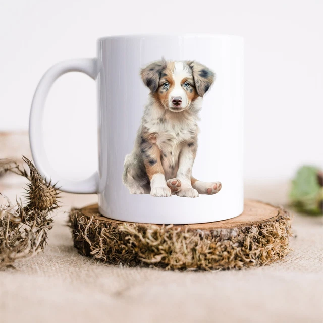 Australian Shepherd Puppies for sale in Waterbury, Connecticut | Lancaster Puppies