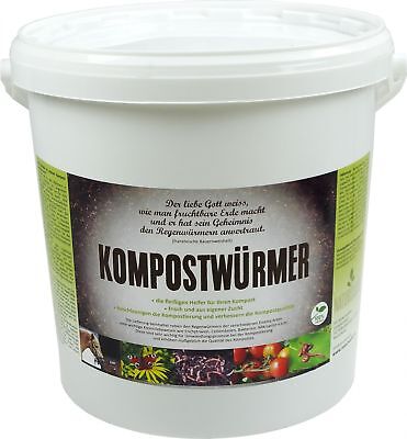 Gusano compostaje-Compost-Starter gusano de lluvia-Eisenia carcoma vivo activo