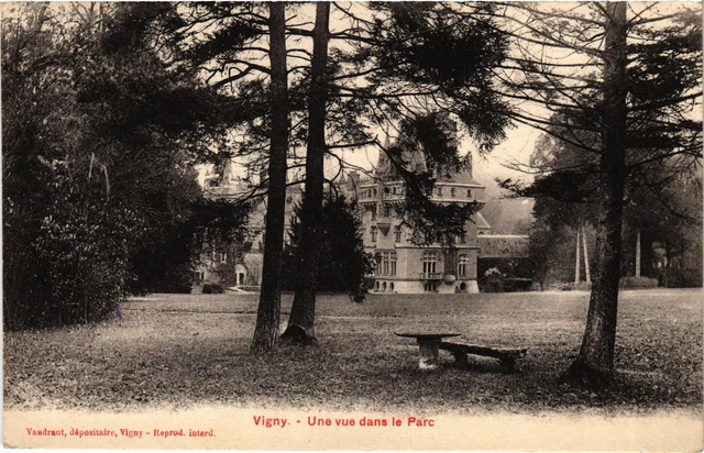 CPA Vigny A View in the Park FRANCE (1308902)