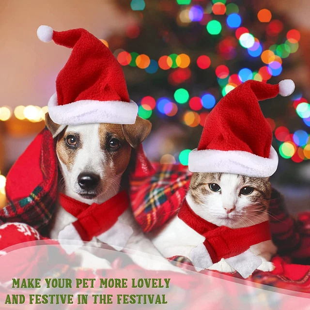 DE Weihnachten Haustier Katzen Hunde Welpen Santa Hut & Schal Kostüm Outfits Set 3