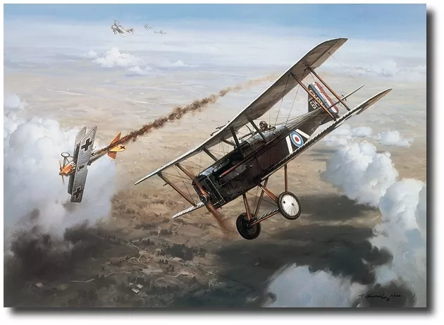 "First Victory" by Roy Grinnell Aviation - co-signed by WW I Ace George Vaughn