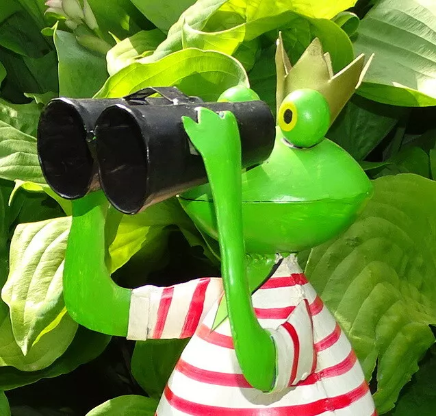 XL Garten-Deko-Metall-Figur* Frosch "Spanner mit Fernglas" Handarbeit Auswahl