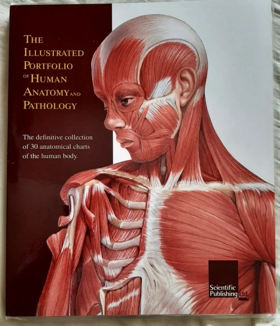 THE ILLUSTRATED PORTFOLIO OF HUMAN ANATOMY AND PATHOLOGY By Scientific ...
