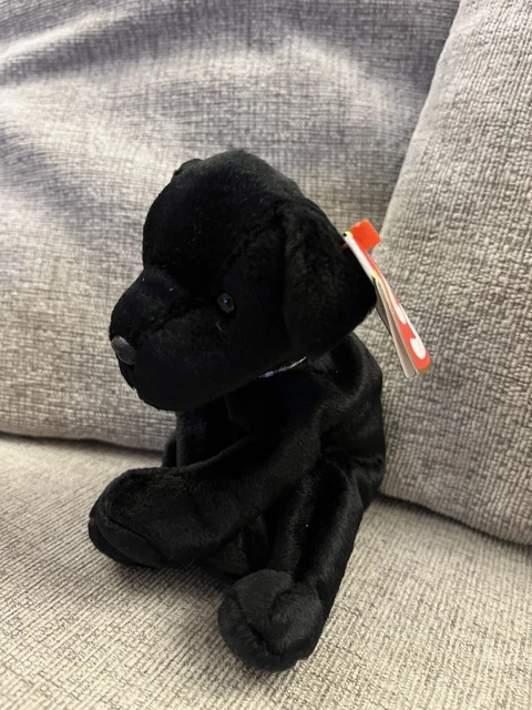 Ty deals luke dog