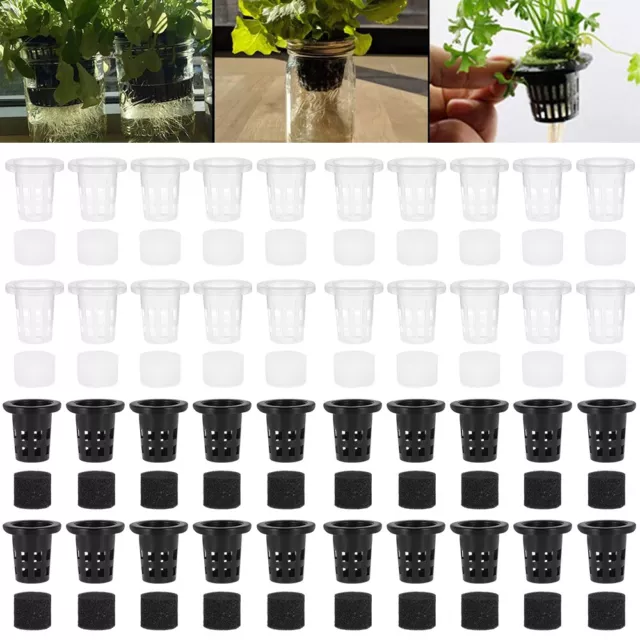 50Pcs Mesh Pot Net Cup Basket Hydroponic Garden-Plant Grow Vegetable Insert