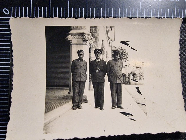  foto cerini vigili polizia civile Trieste civil police amg vg tlt 