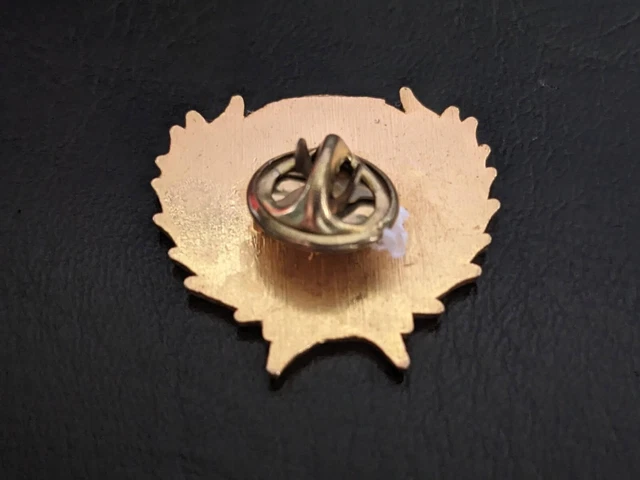 PINS INSIGNE BREVET Moniteur de Tir Police Le Havre 4 section de Tir ...