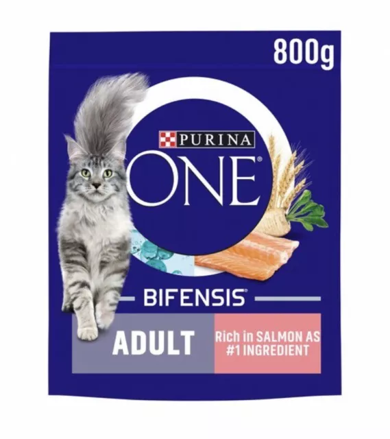 Purina ONE Adult Salmon and Whole Grains Dry Cat Food - 800g