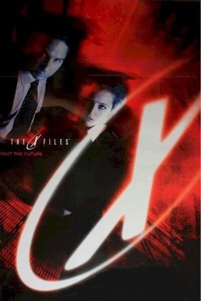 X-FILES ~ FIGHT THE FUTURE ~ STYLE D 23x35 MOVIE POSTER David Duchovny Xfiles