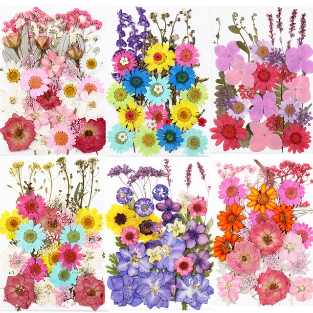 Dried flower embossing material package Pressed flower real flower diy real AGLN