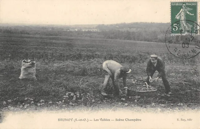 Cpa 91 Brunoy / Les Vallees / Scene Champetre / Recolte De Pommes De Terre